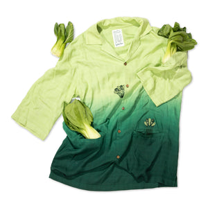 Bok Joy Collared Shirt