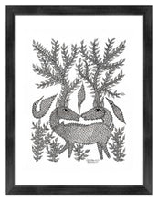 Load image into Gallery viewer, Umed Patta 11