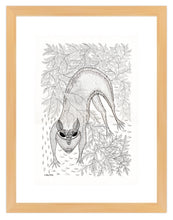 Load image into Gallery viewer, Umed Singh (Patta) 7