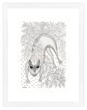 Load image into Gallery viewer, Umed Singh (Patta) 7